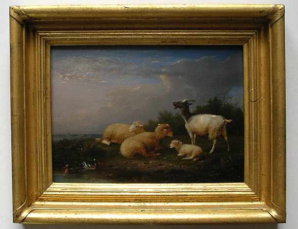 Franz van Severdonck: Sheep and Goats