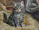 Wilson Hepple painting cat