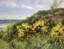 JF Slater: Gorse at Whitley Bay