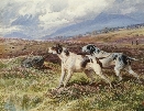 pointers on the Fell.Charles Jones.