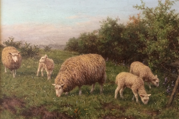 Sheep Grazing.J.Dixon Clark