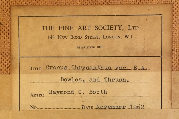 Crocus and Thrush.Label.Back.R.C.Booth