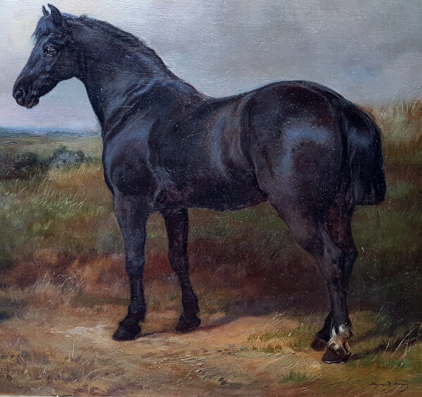 Heywood_hardy.Horse.portrait.3