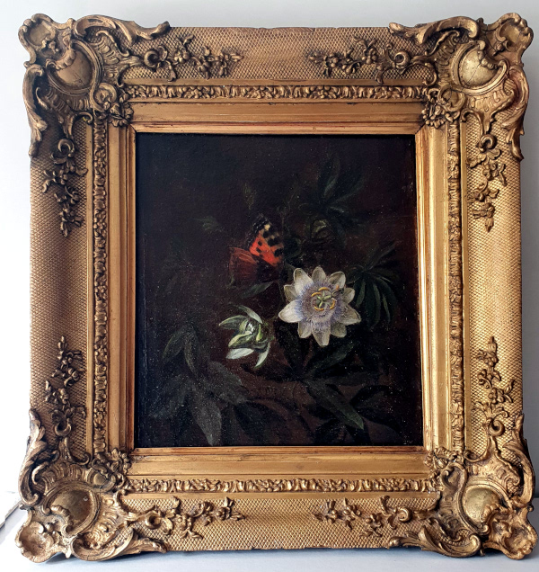 Unknown artist, oil on panel for sale, Passionflower
