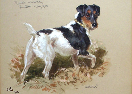 Twitcher, the Jack Russell