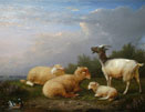 Franz van Severdonck: Sheep and Goats