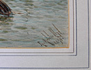Robert Malcolm Lloyd signature