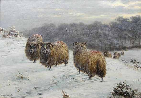 Joseph Dixon Clark - Sheep
