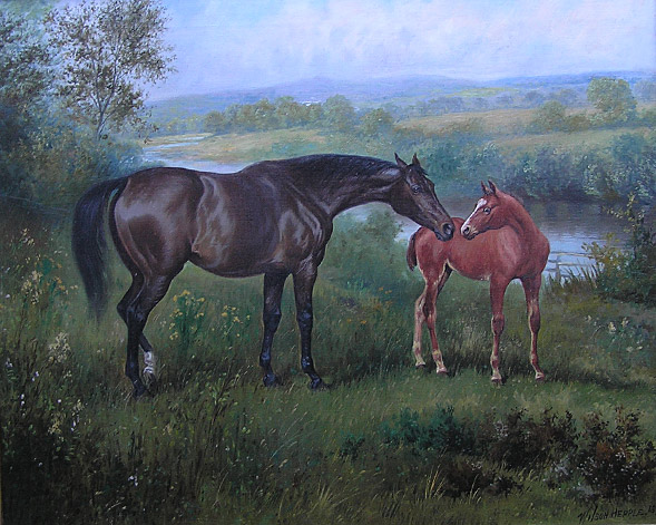 Wilson Hepple MAre and Foal