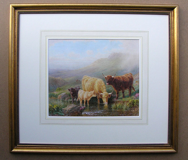 William R C Watson:Cattle cows