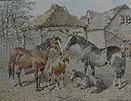 JF Herring: Horses and Foals