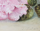 A.S.Kent-still-life-watercolour-Roses