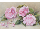 A.S.Kent-still-life-watercolour-Roses