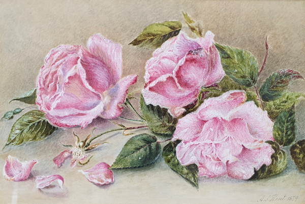 A.S.Kent-still-life-watercolour-Roses