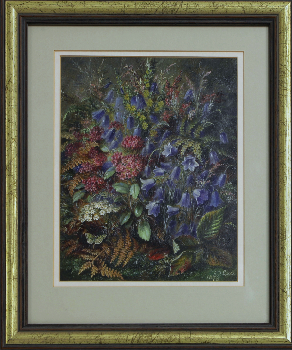 Image:Lucas_Butterfly_Framed