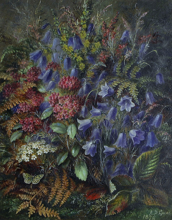 Albert-Durer-Lucas-for-sale-Spotted butterfly amongst harebells