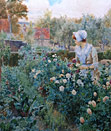 Alfred Glendening - Rose Garden