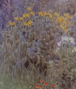 Beatrice-Parsons-Misty-dawn