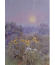 Beatrice-Parsons-Misty-dawn