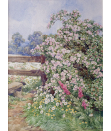 Beatrice-Emma-Parsons-watercolour-for-sale - Rose-Bush-by-a-Stile