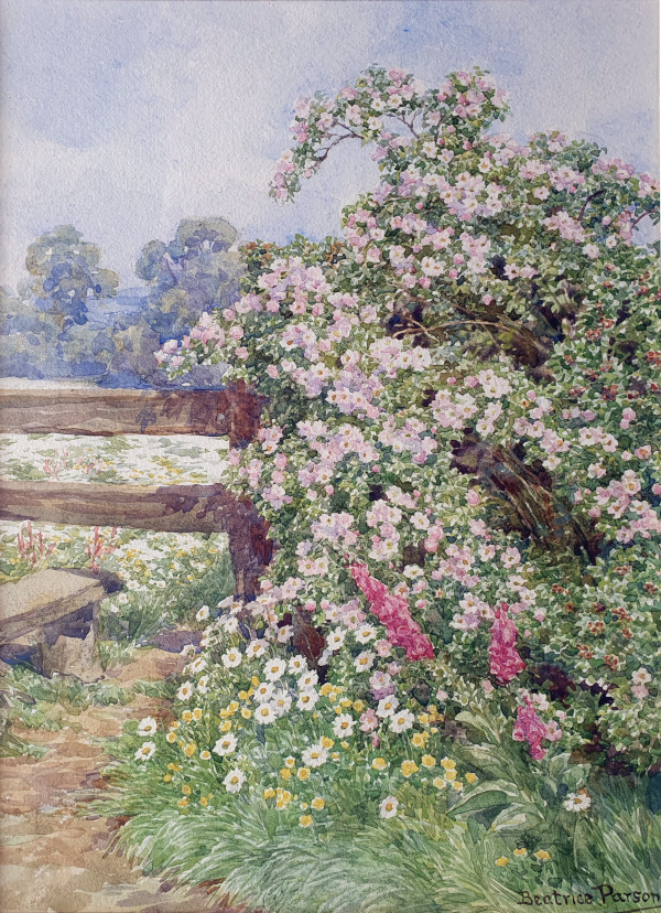 Beatrice-Emma-Parsons-watercolour-for-sale - Rose-Bush-by-a-Stile