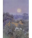 Beatrice_Emma_Parsons_watercolour_for_Sale - the moon
