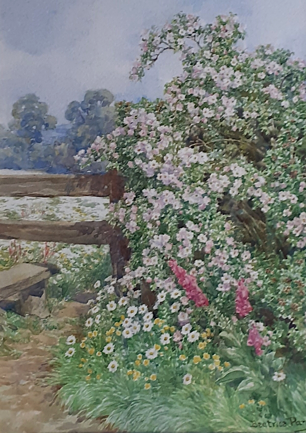 Beatrice_Emma_Parsons_watercolour_for_Sale - Rose Bush by a Stile