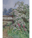 Beatrice_Emma_Parsons_watercolour_for_Sale - Rose Bush by a Stile