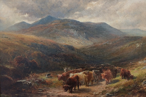 Highland Cattle.George Turner