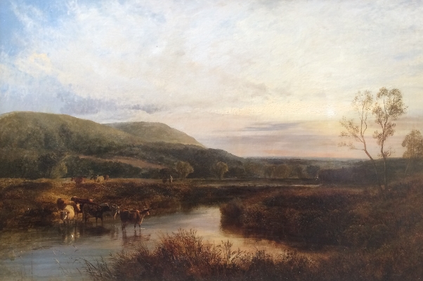 Cattle drinking at the river.George Shalders.