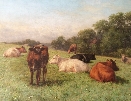 Cows in Summer.J.Dixon Clark