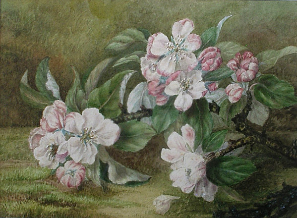 Helen C Coleman Flower painting
