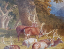 Robert Hills Deer painting