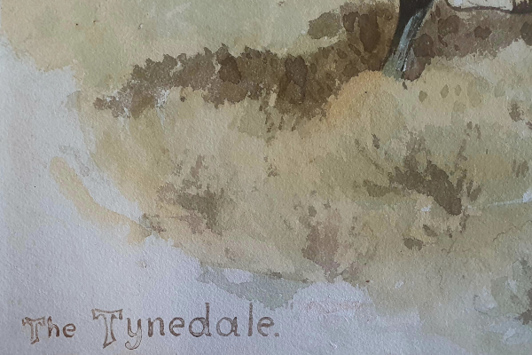 John-Charlton-Watercolour-The-Tynedale-hunt