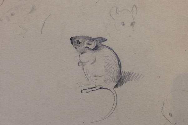 Mice.2.Archibald Thorburn