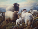 Robert.Watson.sheep.no-frame