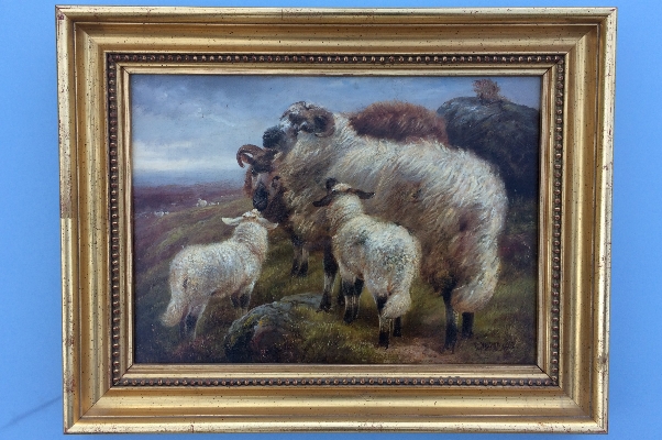 Sheep and Lambs.Frame.R.Watson.