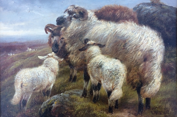 Sheep and Lambs.R.Watson.