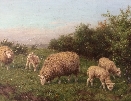 Sheep Grazing.J.Dixon Clark