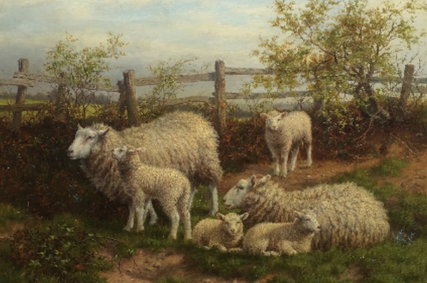 Sheep & Lambs.J.Dixon Clark.