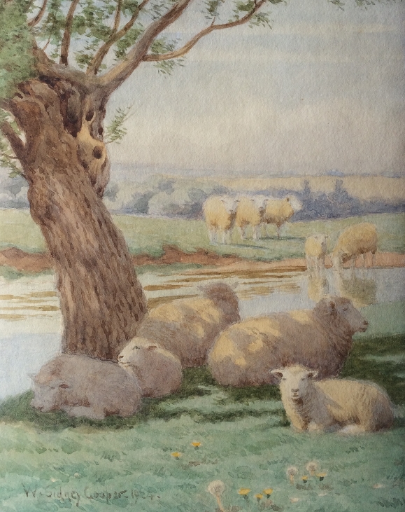 Sheep in Shade.1.W.Sidney.Cooper