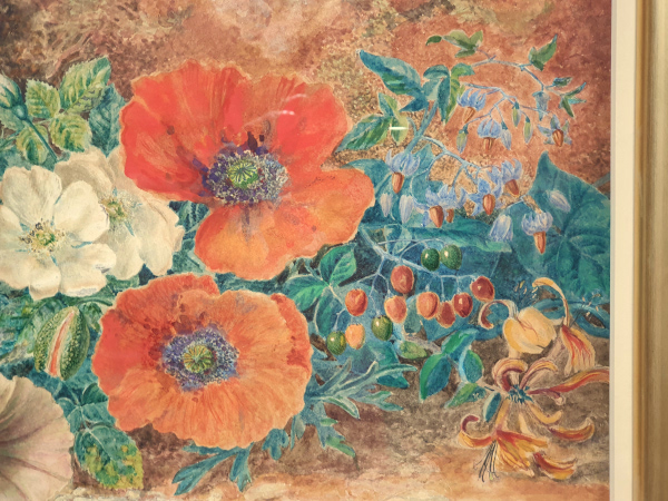 Thomas Frederick Collier, watercolour, poppies