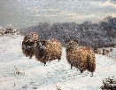 Winter Sheep.J.Dixon Clark.