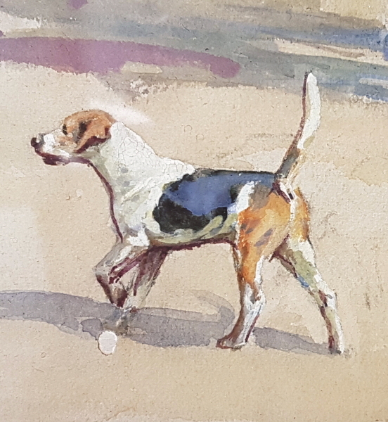 Beagle Hound.dog.M.Lyne