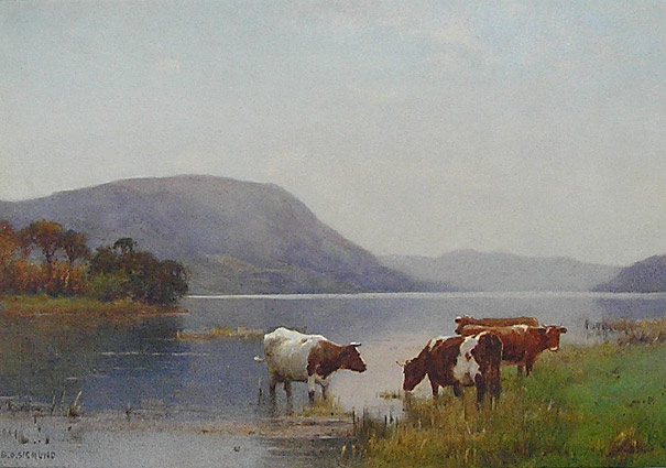 Benjamin D Sigmund - Cattle
