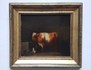 Guernsey_bull_portrait_framed
