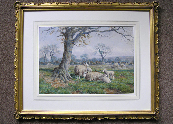 Dixon Clark Sheep