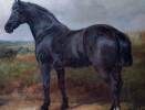 Heywood_hardy.Horse.portrait.3