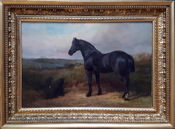 Heywood_hardy.Horse.portrait.2