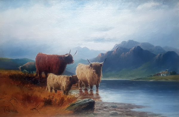 J.D.Liddell_Highland_cattle